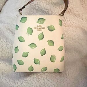 Coach Small Town Bucket Bag
